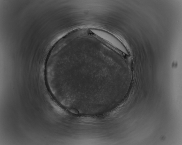 X0000101100389200807171917