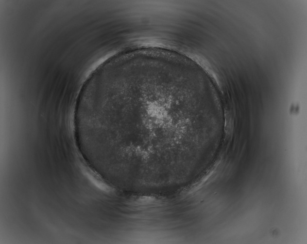 X0000101100390200807171917