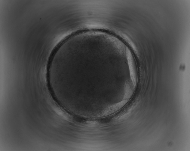 X0000101100391200807171917