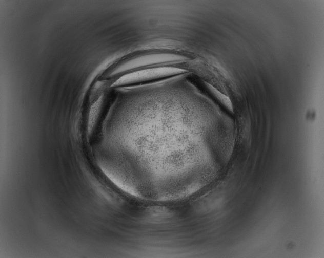 X0000101100392200807171917