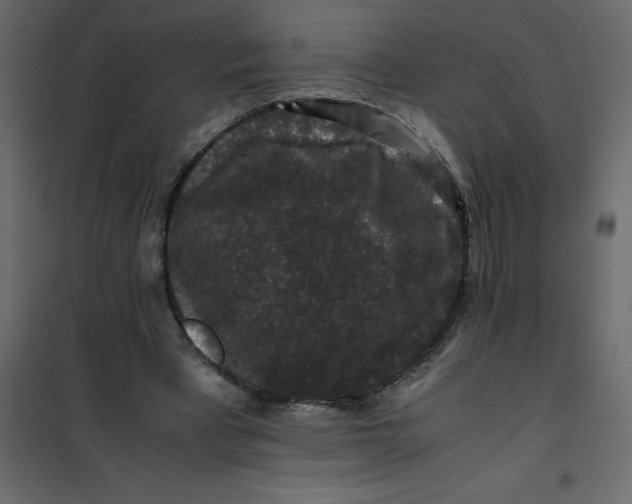 X0000101100393200807171917