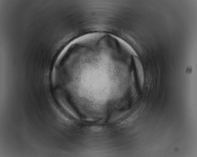 X0000101100394200807171917