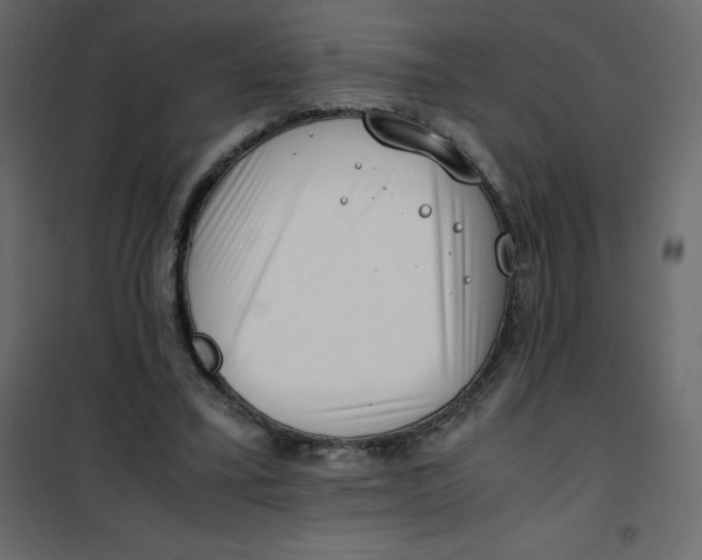 X0000101100395200807171917