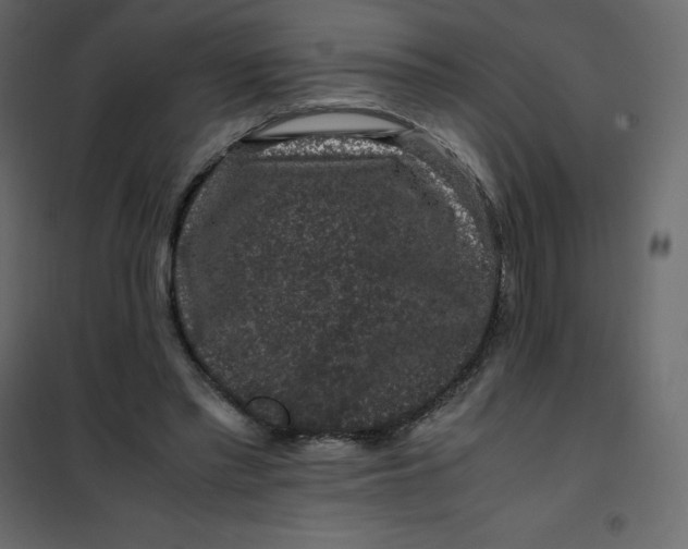 X0000101100397200807171917