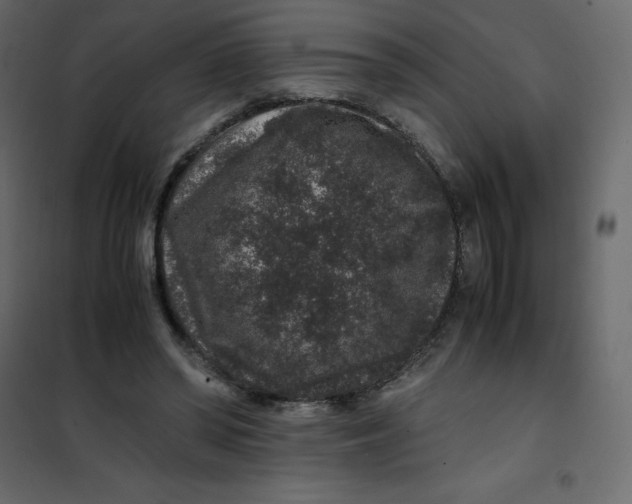 X0000101100398200807171917