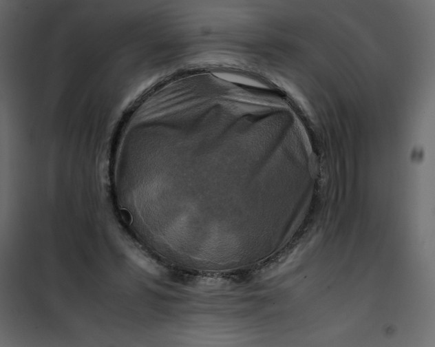 X0000101100399200807171917