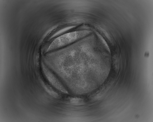 X0000101100400200807171917