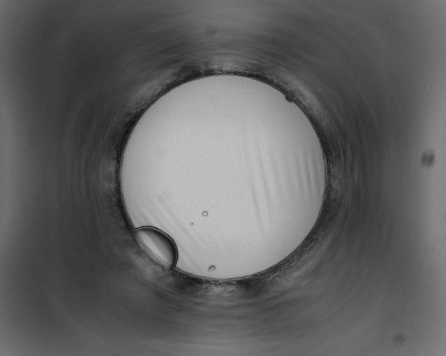 X0000101100401200807171917