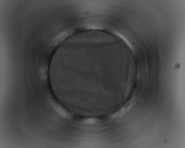 X0000101100402200807171917