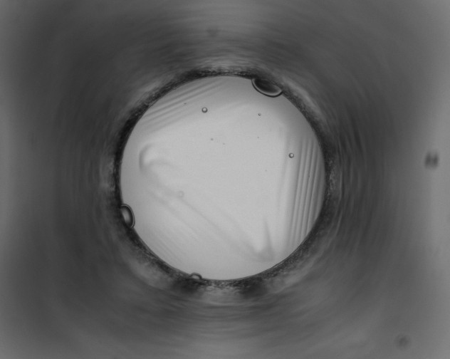 X0000101100403200807171917