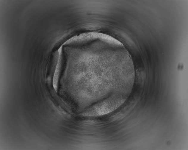 X0000101100404200807171917