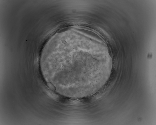 X0000101100405200807171917