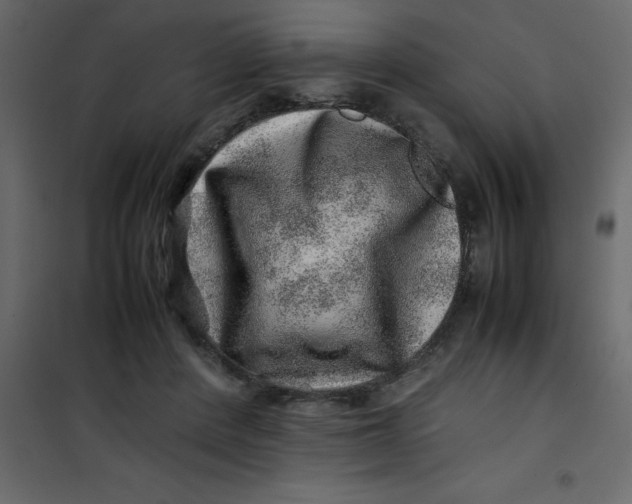 X0000101100408200807171917