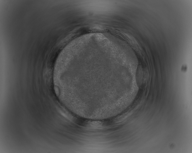 X0000101100409200807171917