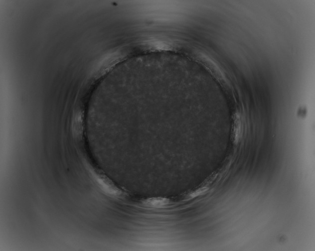 X0000101100410200807171917