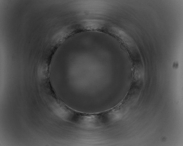 X0000101100411200807171917