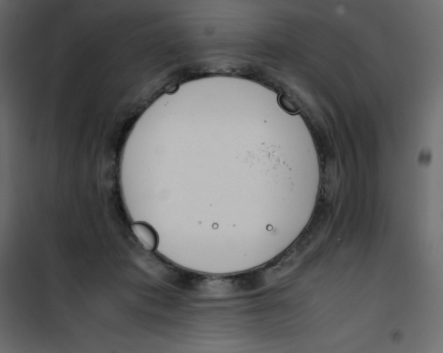 X0000101100413200807171917