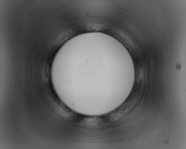 X0000101100414200807171917