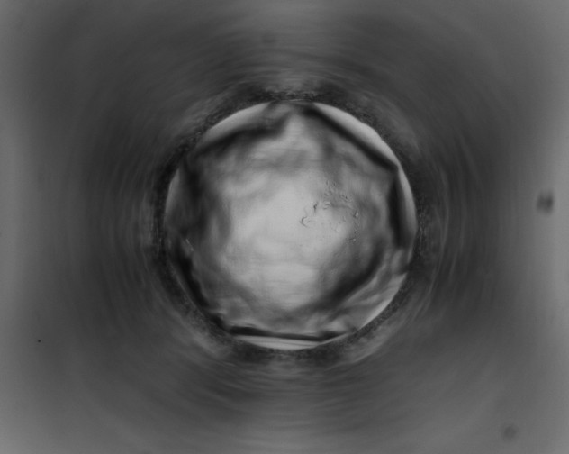 X0000101100416200807171917