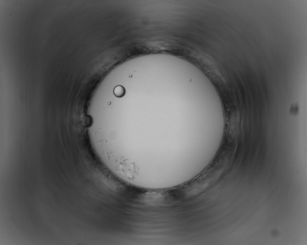 X0000101100418200807171917