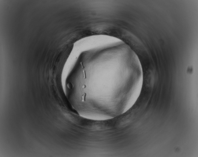 X0000101100420200807171917