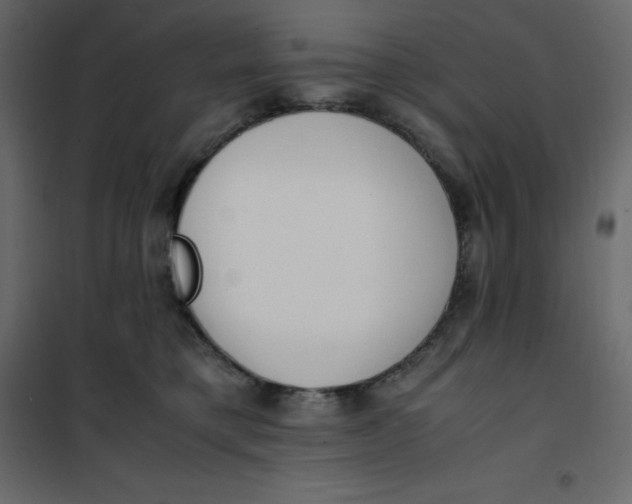 X0000101100421200807171916