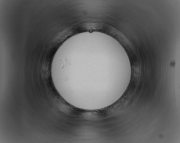 X0000101100422200807171916