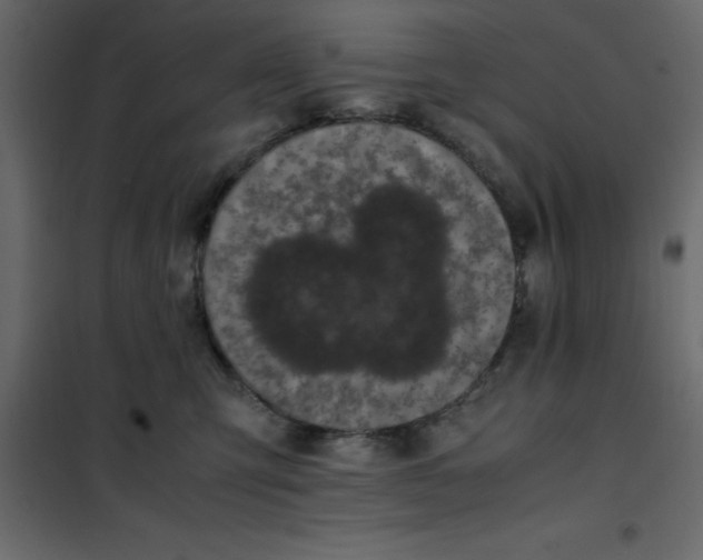 X0000101100423200807171916