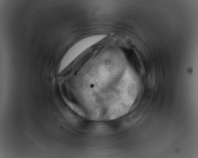 X0000101100424200807171916