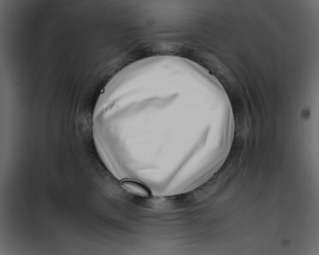 X0000101100425200807171916