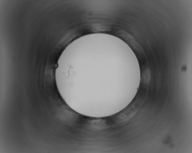 X0000101100426200807171916