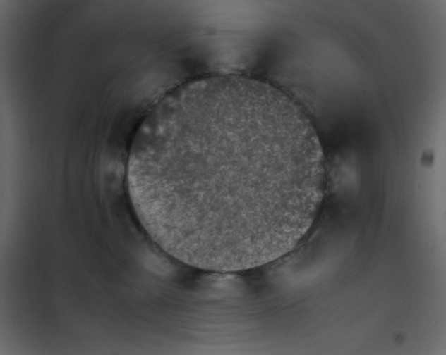 X0000101100427200807171916