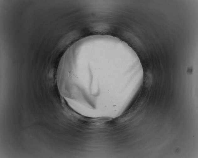 X0000101100428200807171916