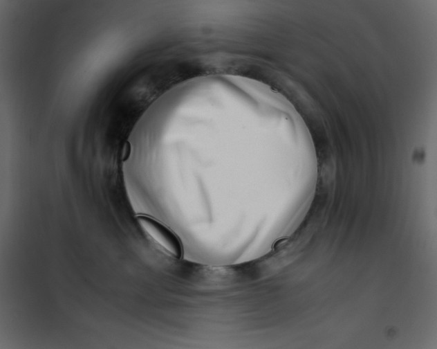 X0000101100429200807171916