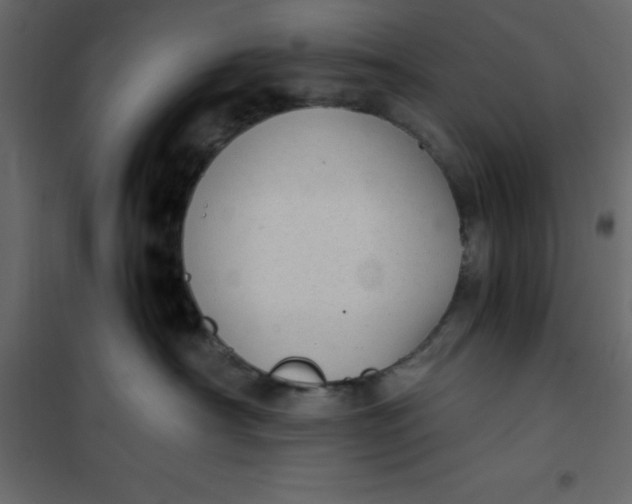 X0000101100430200807171916