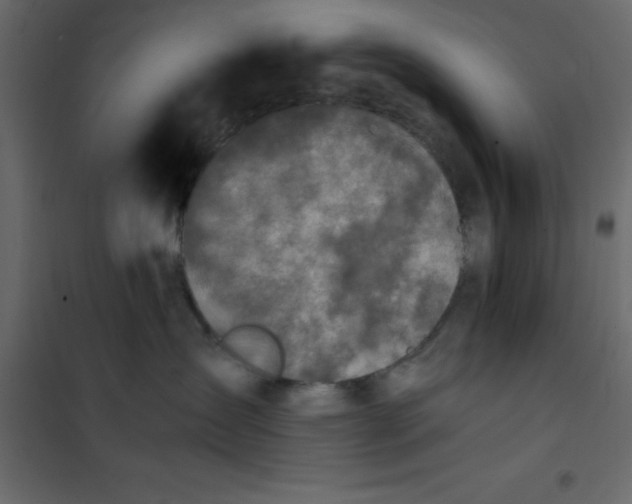 X0000101100431200807171916