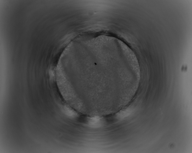 X0000101100432200807171916