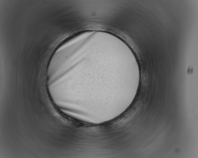 X0000101100433200807171916