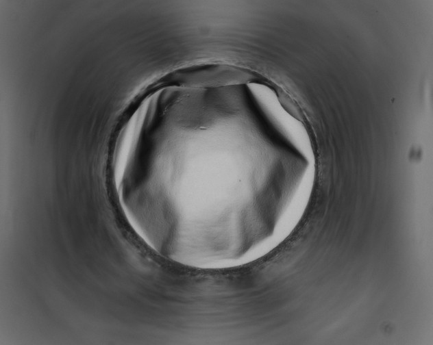 X0000101100434200807171916