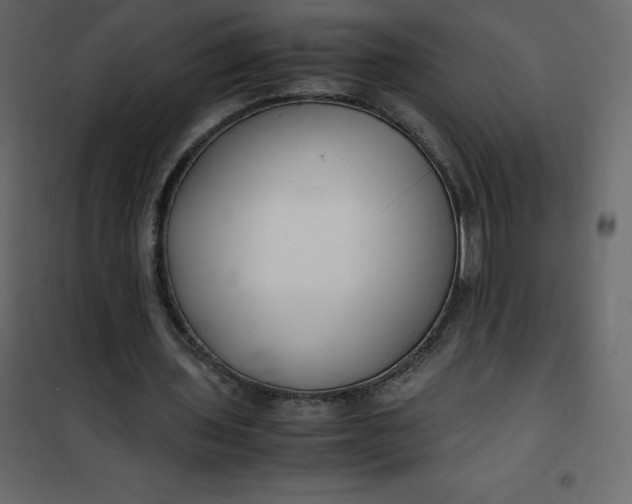 X0000101100435200807171916