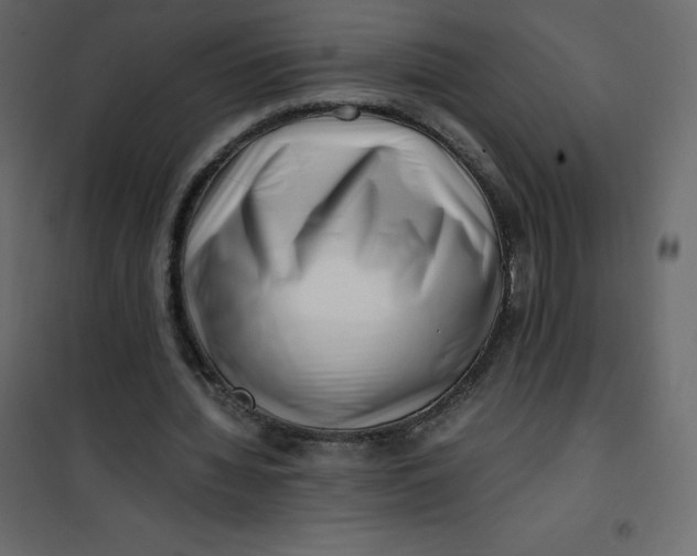 X0000101100436200807171916