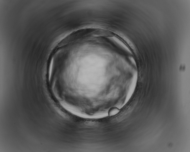 X0000101100437200807171916