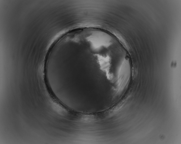 X0000101100438200807171916