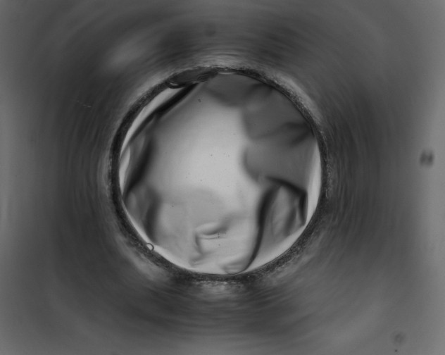 X0000101100439200807171916