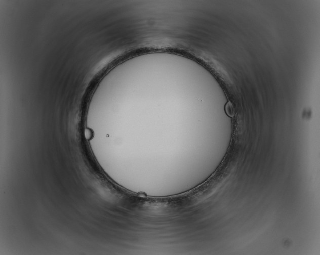 X0000101100440200807171916