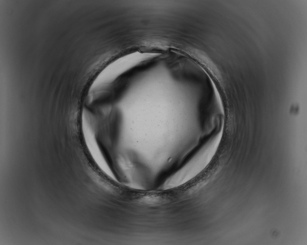 X0000101100441200807171916