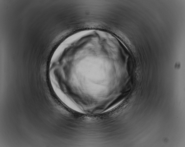 X0000101100442200807171916