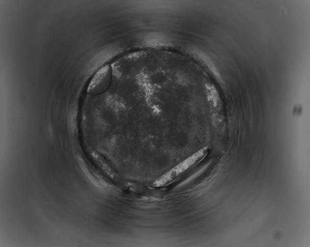 X0000101100443200807171916