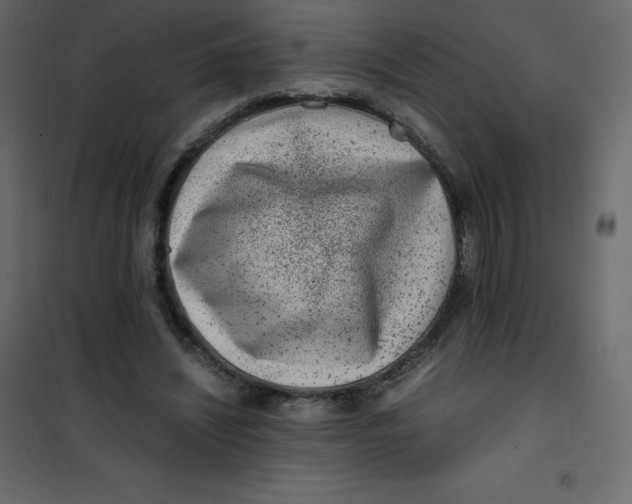 X0000101100444200807171916