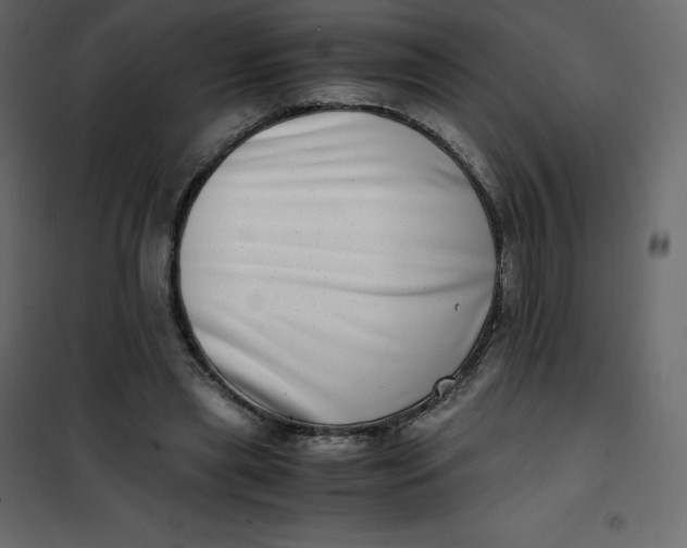 X0000101100445200807171916